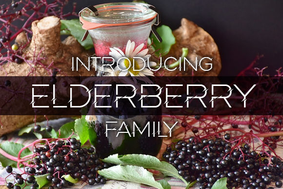 Elderberry: A Display Font That Inspires