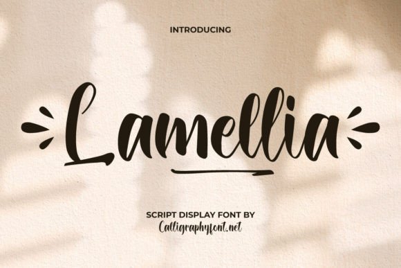 Lamellia: A Playful Script Font for Vibrant Designs